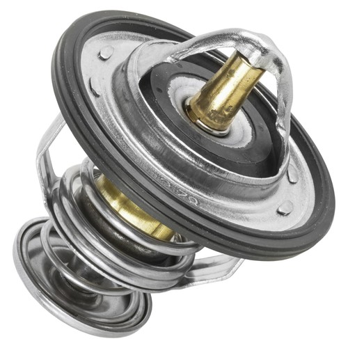Thermostat with ring - thermostat, o-ring