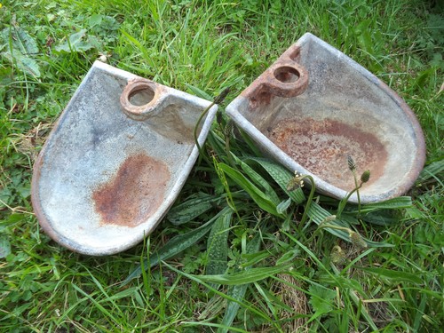 Water bowl cattle sheep - bowl,