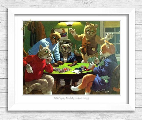 Cats playing poker cards - cats,