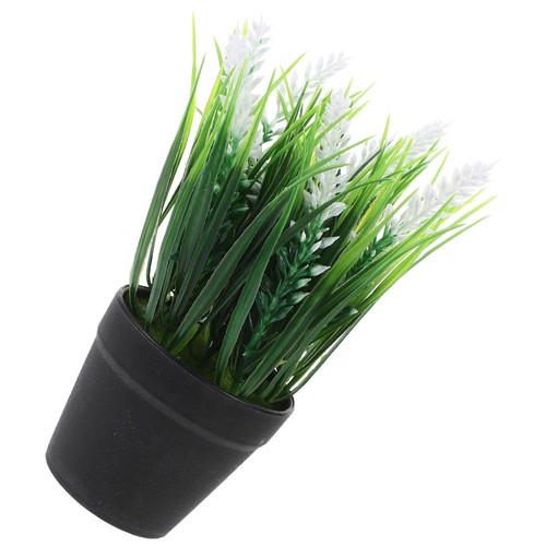 Simulated clivia potted - potted, plant