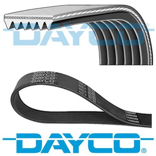 Dayco ribbed belt ribs - belt, 6