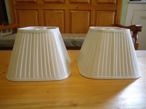 Vintage pair ivory lined - vintage,