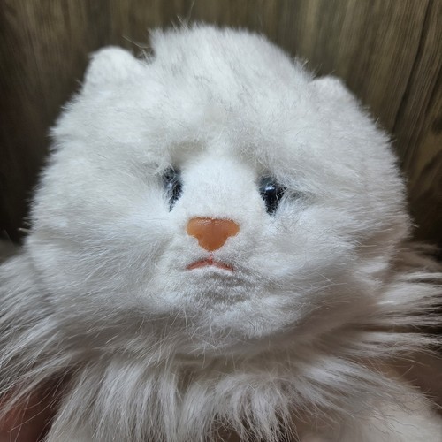 Angel cat 1001 white - angel,
