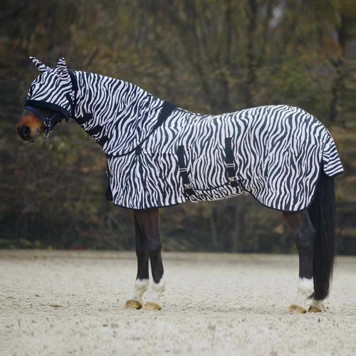 Horse combo fly rug - horse,