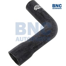 BOTTOM RADIATOR HOSE for FORD