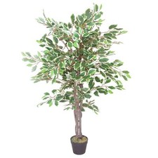 Artificial Ficus Tree Plant White Edge Twist 130cm Realistic House Plants