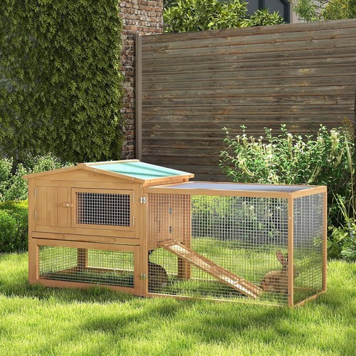 Small 5ft chicken - small, hen