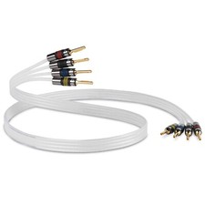 QED Silver Anniversary XT