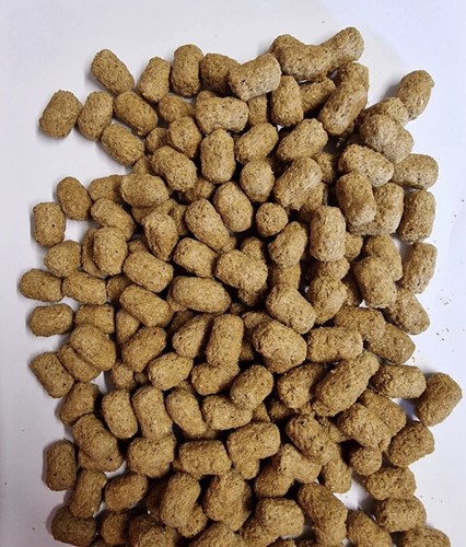 Nutrazu mazuri 500g tortoise - 500g,