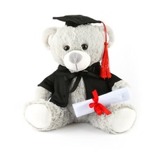 University graduation bear - 9",