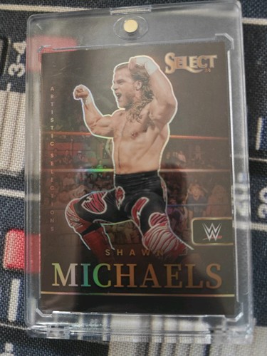 Shawn michaels artistic - shawn, [artistic