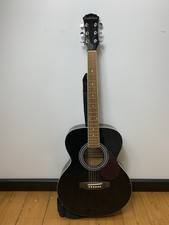 Freshman FA1FBK Acoustic