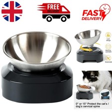 Elegant Raised Cat Bowl in Stainless Steel - Adjustable Feeding Design