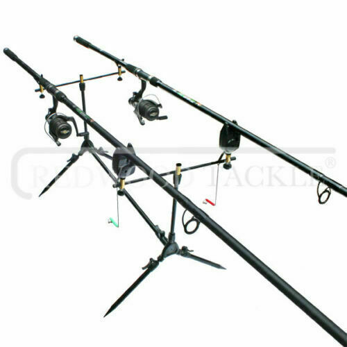 Carp fishing set rod 2 - set,