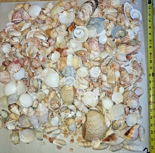 Lot florida gulf - lot,