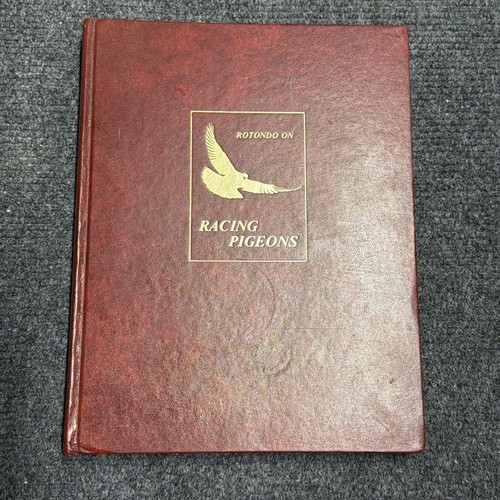 Rotondo racing pigeons by - on,