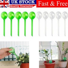 10x Plant Self Watering Globes
