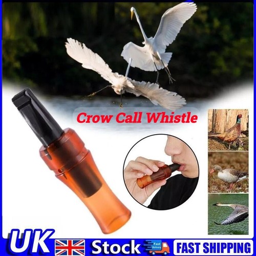 Outdoor crow rook - crow, whistle