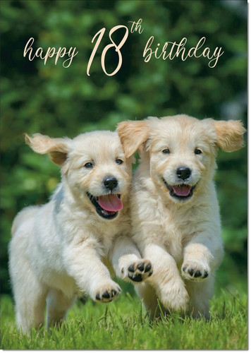Doodlecards 18th birthday - doodlecards,