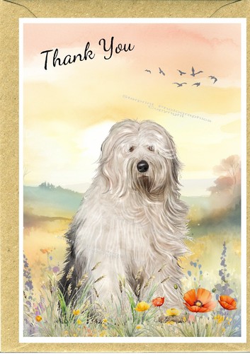 Old english sheepdog - old,