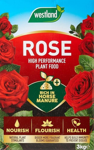Westland healthy growth rose - healthy,