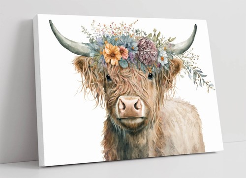 Highland cow with - highland, crown