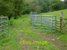 Photo 6x4 Cattle crush - Woodchester Park Cockadilly At the end of the me c2021