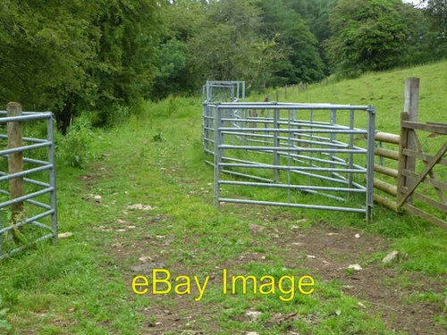 Photo 6x4 cattle crush - crush,
