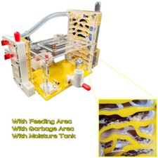 Ant Housing Ants Farm With
