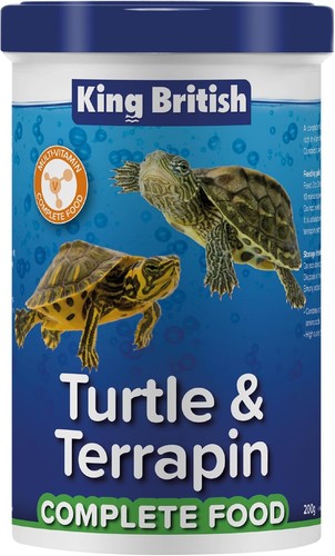 King british turtle - british,