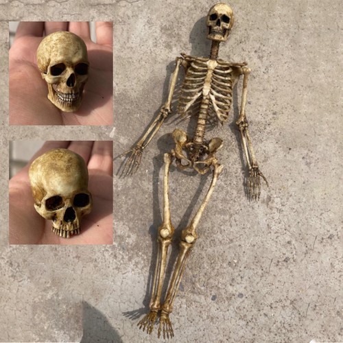 Scale human beings - 1/6,
