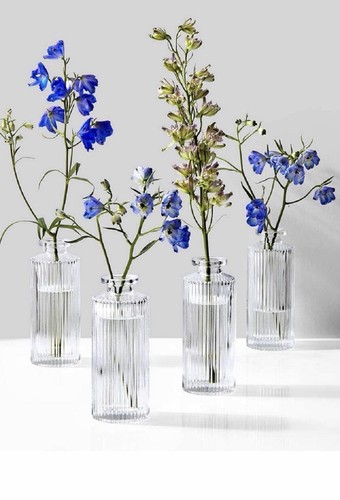 Pack glass vases - glass,