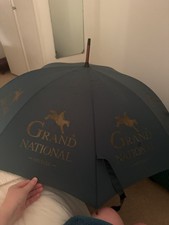 Grand National Aintree Racing