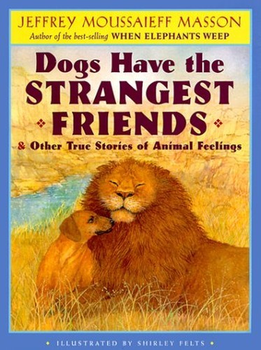 Dogs have the strangest - dogs,