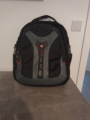 Pegasus from swissgear - pegasus, by
