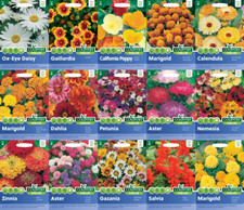 Flower Seeds UK by Country