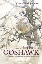 Looking for the Goshawk -