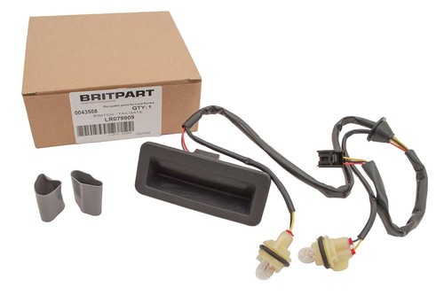 Tailgate release handle switch - handle,