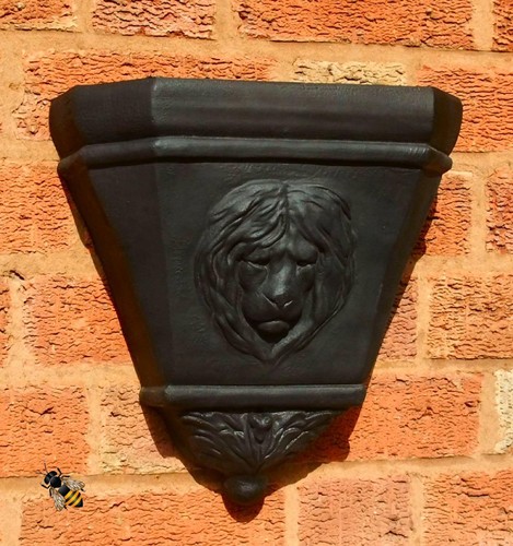 Wall planter rain water - wall,