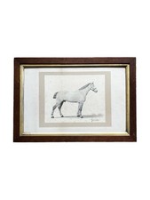 Antique 19th century Watercolour Painting Of A Horse Signed And Dated 