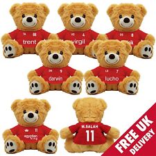 Liverpool Player Teddy Bear 20cm - Choose a player