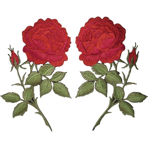 Pair red rose flower - rose,