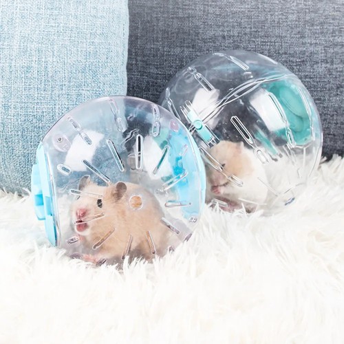 Small pet hamster - small,