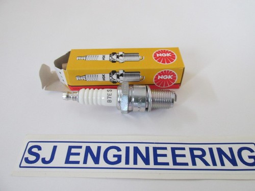 Ngk spark plug - spark, bsa