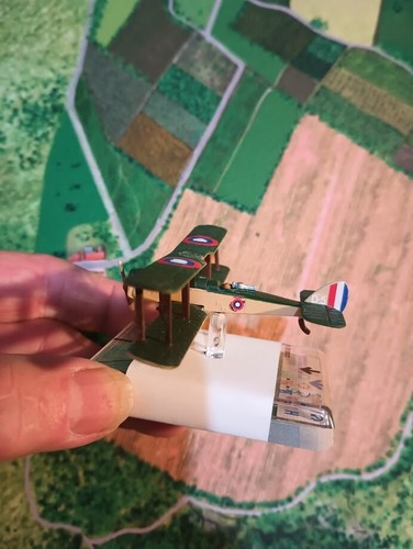 Wings glory miniature - of,