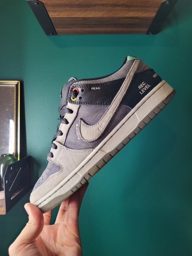 Nike dunk low camcorder - nike,