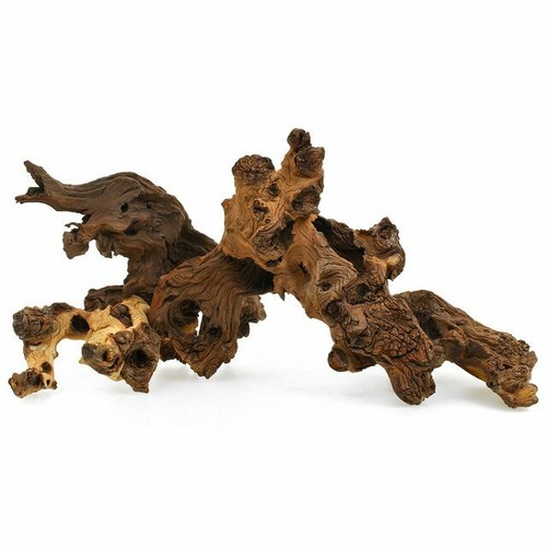 Aquarium root fish tank - aquarium,