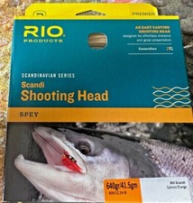 Rio Scandinavian Series