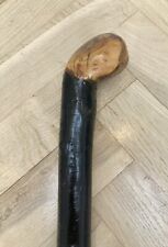 Beautiful 34Inch Extra Stout Straight  Blackthorn With Large Root Ball Handle