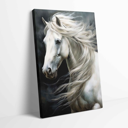 White horse portrait - white,